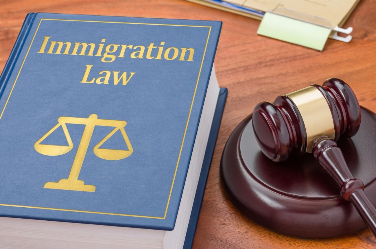 Criminal Alien Issues / Deportation and Removal Defense